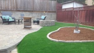 backyard artificial turf pet area