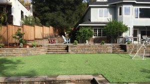 backyard waterless lawn