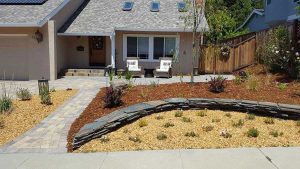Drought tolerant Succulent Landscape