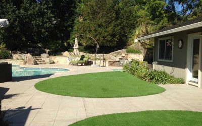 The Ultimate Guide to Synthetic Lawns