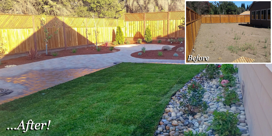 landscaping before and after backyard