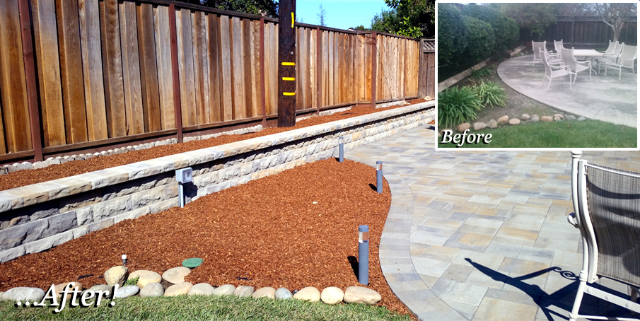 before and after backyard