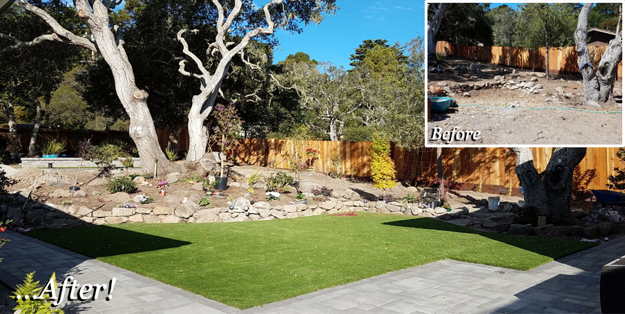 backyard before and after
