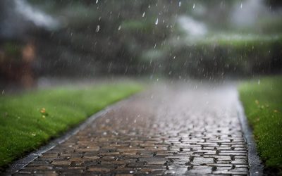 Embrace the Rain: Why Starting Landscape and Hardscape Projects in the Fall Makes Sense