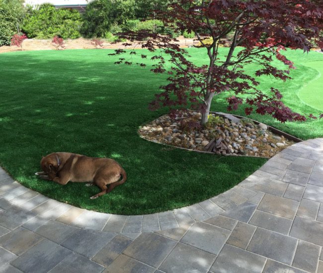 Orange County Synthetic Lawns