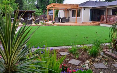 Sustainable Hardscape and Landscape: How to Create an Eco-Friendly Outdoor Oasis