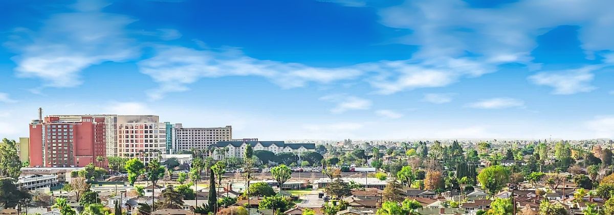 Anaheim Black Diamond
