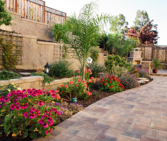 The front yard landscaping done with lush plants, mulch and rock