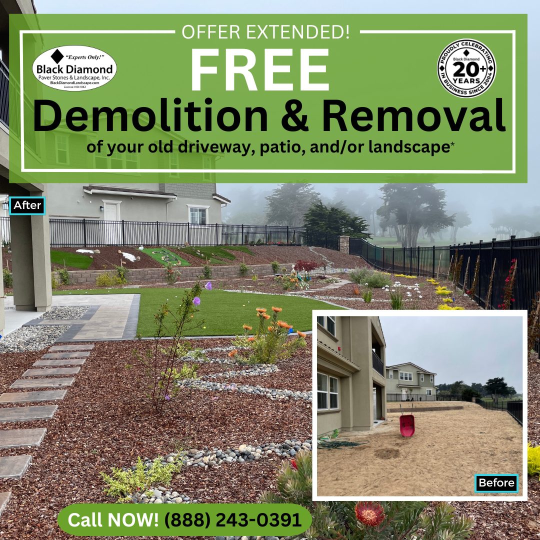 Offer Extended! Free Demo & Removal!