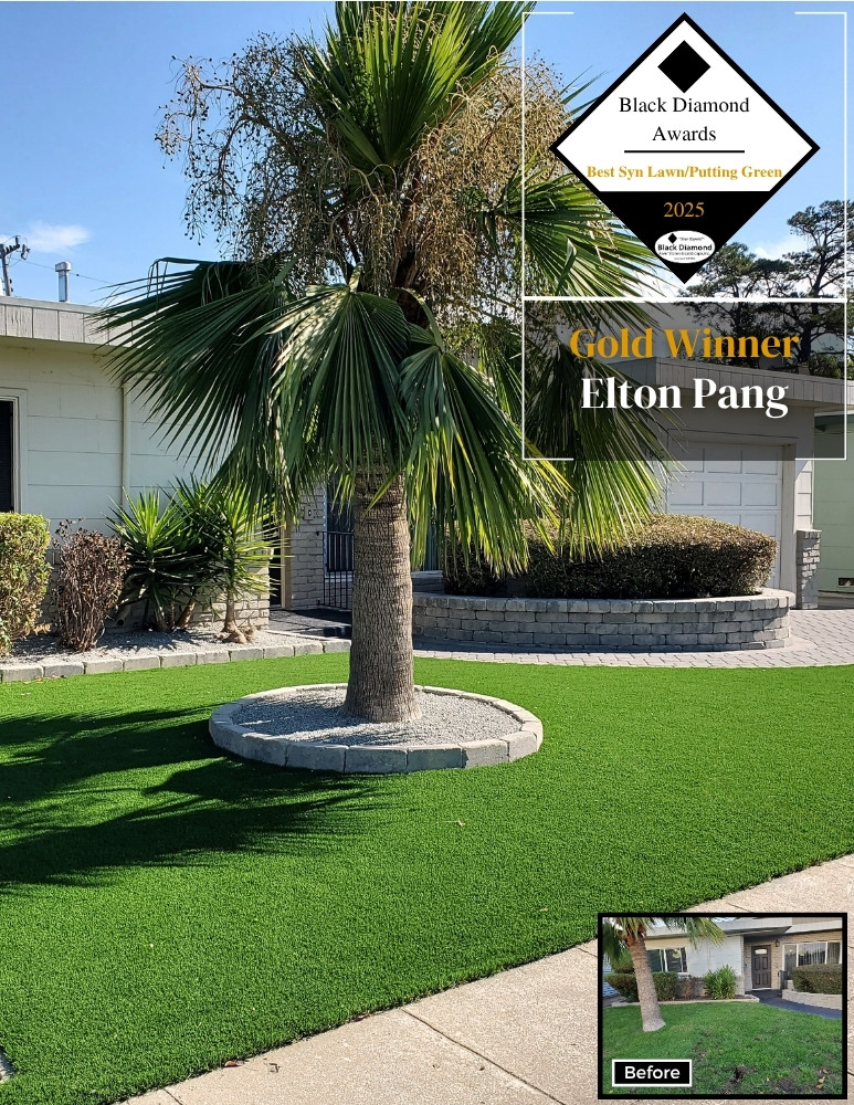 2025 BD Awards - Best Syn Lawn Elton Pang