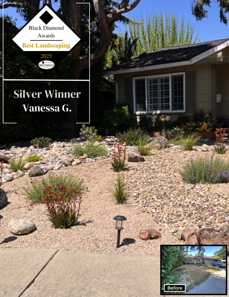 2025 BD Awards - Best Outdoor Transformation- Jimmy Crane