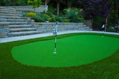 Synthetic Lawn